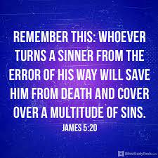 james 5 v 20.jpg